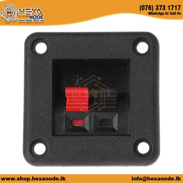 Speaker Terminal Square 2 Pin 1 Row Large
