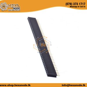 2.54mm Female Pin Header 40 Pin