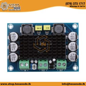 XH-M542 TPA3116 100W Mono Digital Power Amplifier